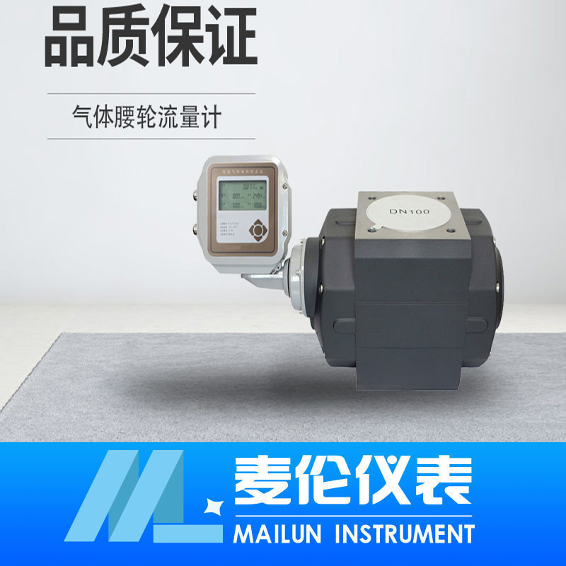<b>气体腰轮流量计</b>